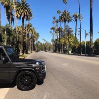 Отзыв от Тарас - виза ДТВ